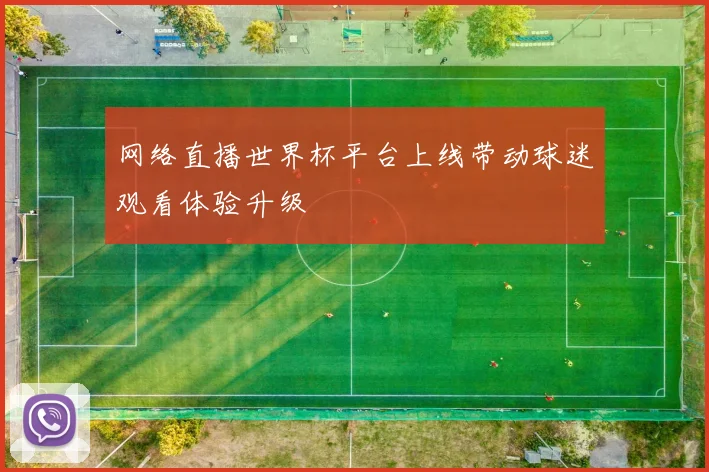网络直播世界杯平台上线带动球迷观看体验升级