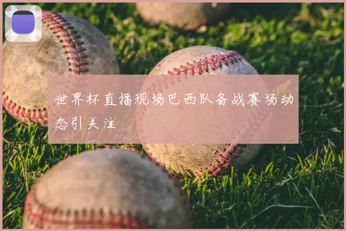 世界杯直播现场巴西队备战赛场动态引关注