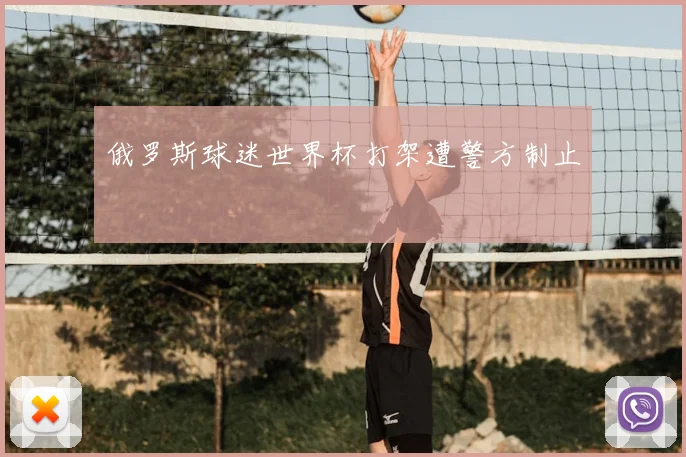 俄罗斯球迷世界杯打架遭警方制止