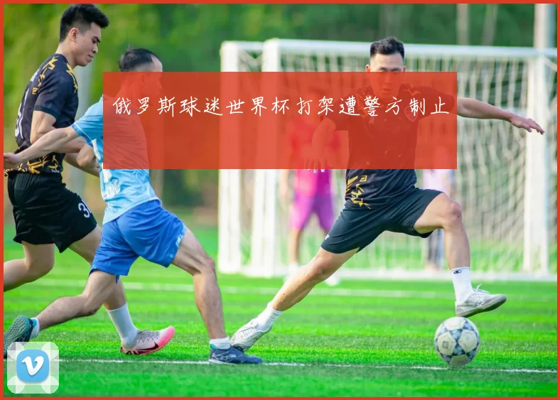 俄罗斯球迷世界杯打架遭警方制止