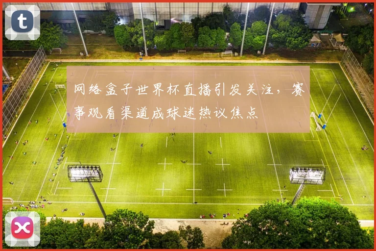 网络盒子世界杯直播引发关注，赛事观看渠道成球迷热议焦点
