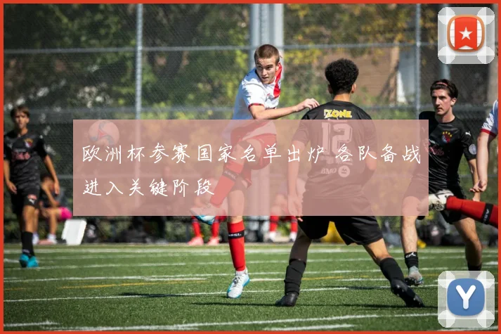 欧洲杯参赛国家名单出炉 各队备战进入关键阶段