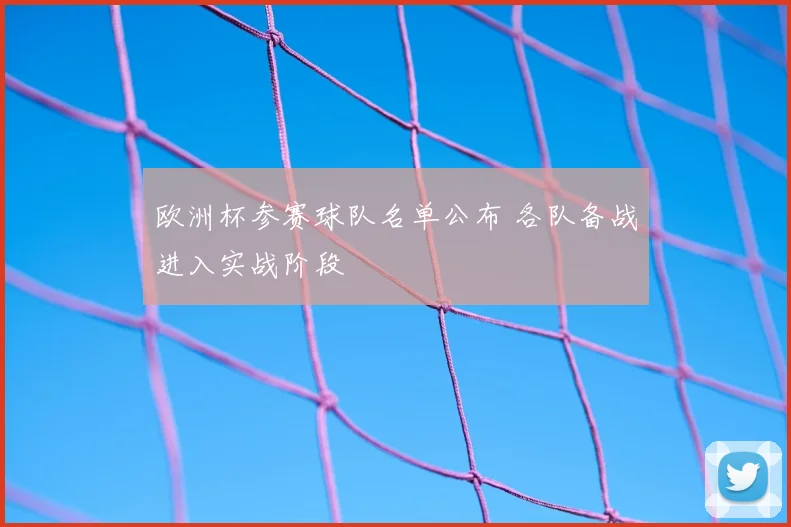 欧洲杯参赛球队名单公布 各队备战进入实战阶段